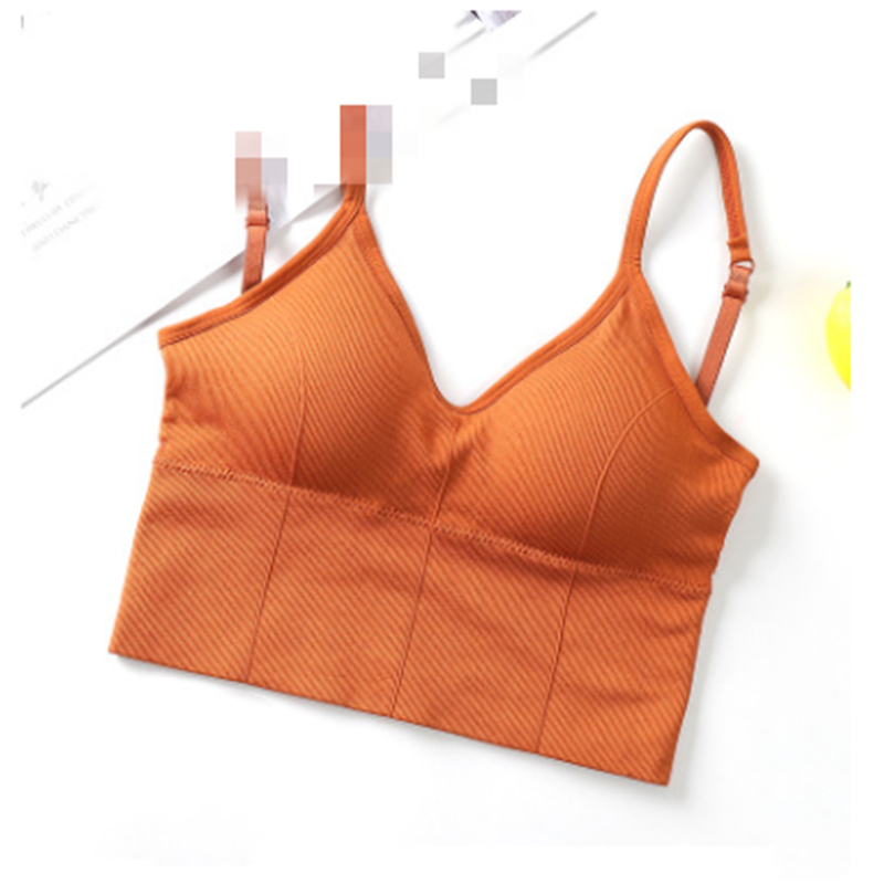 Low Back Thick Body Band Sport Bra